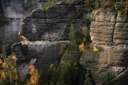 Herbstliche Zschanddetails