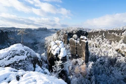 Frühwinterliche Pracht
