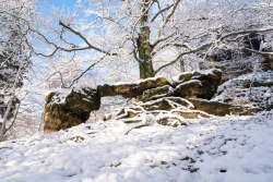 Kleines Prebischtor im Winter