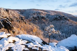 Herbst Trifft Winter