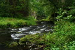 Sommer im Kamnitztal