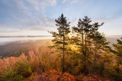 Morgenstimmung auf dem Kohlbornstein