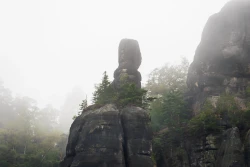 Muschelkopf im Nebel