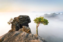 Paradies 2024-09-18_001_Paradies_Website