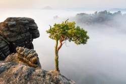 Paradies 2024-09-18_002_Pardies_Website