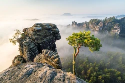 Paradies 2024-09-18_003_Paradies_Website