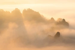 Goldene Spitzen 2024-09-18_004_Goldene Spitzen_Website