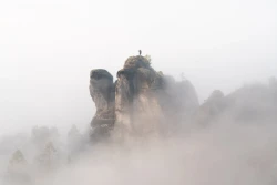 Nebelwächter 2024-09-18_005_Nebelwächter_Website