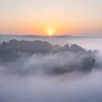 Paradies 2024-09-18_007_Paradies_Website