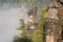 Wehlnadel 2024-09-18_009_Wehlnadel_Website