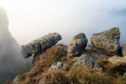 Plattenstein 2024-10-12_005_Plattenstein_Website