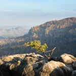 Abend in den Affensteinen 2024-10-26_002_Abend in den Affensteinen_Website