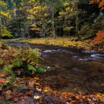 Herbst im Polenztal 2024-10-28_001_Herbst im Polenztal_Website