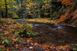 Herbst im Polenztal 2024-10-28_001_Herbst im Polenztal_Website
