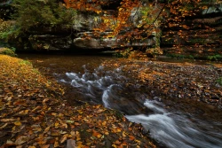 Herbst im Polenztal 2024-10-28_002_Herbst im Polenztal_Website