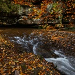 Herbst im Polenztal 2024-10-28_002_Herbst im Polenztal_Website