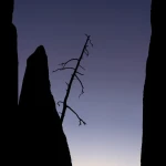 Silhouette in der Dämmerung 2024-11-01_002_Silhouette in der Dämmerung_Website