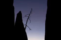Silhouette in der Dämmerung 2024-11-01_002_Silhouette in der Dämmerung_Website
